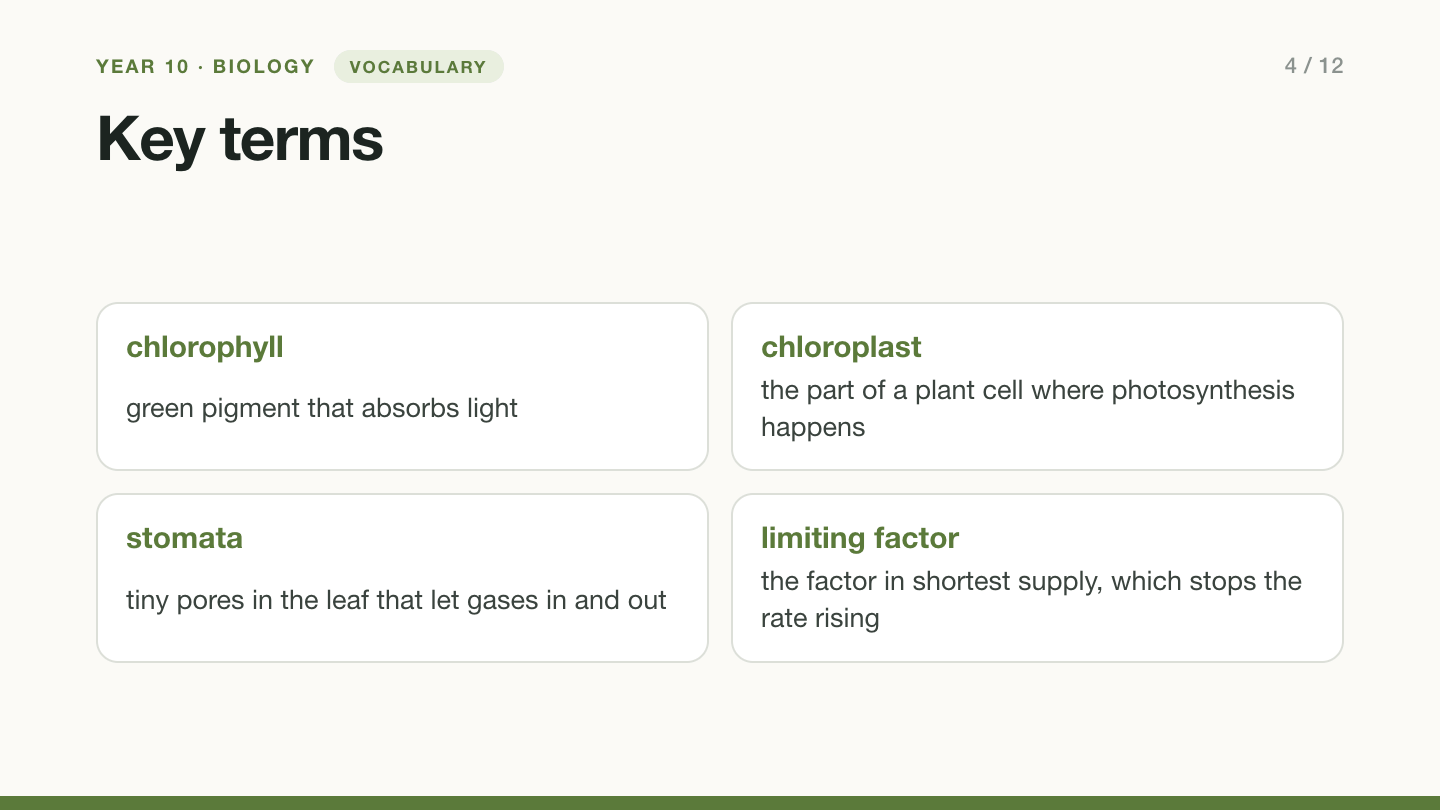 Slide 4, vocabulary: Key terms. Chlorophyll: green pigment that absorbs light. Chloroplast: the part of a plant cell where photosynthesis happens. Stomata: tiny pores in the leaf that let gases in and out. Limiting factor: the factor in shortest supply, which stops the rate rising.