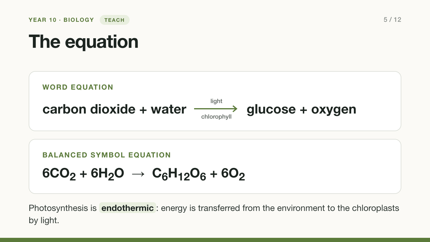 Slide 5: The equation. Word equation: carbon dioxide plus water gives glucose plus oxygen, using light and chlorophyll. Balanced symbol equation: 6CO2 plus 6H2O gives C6H12O6 plus 6O2. Photosynthesis is endothermic: energy is transferred from the environment to the chloroplasts by light.