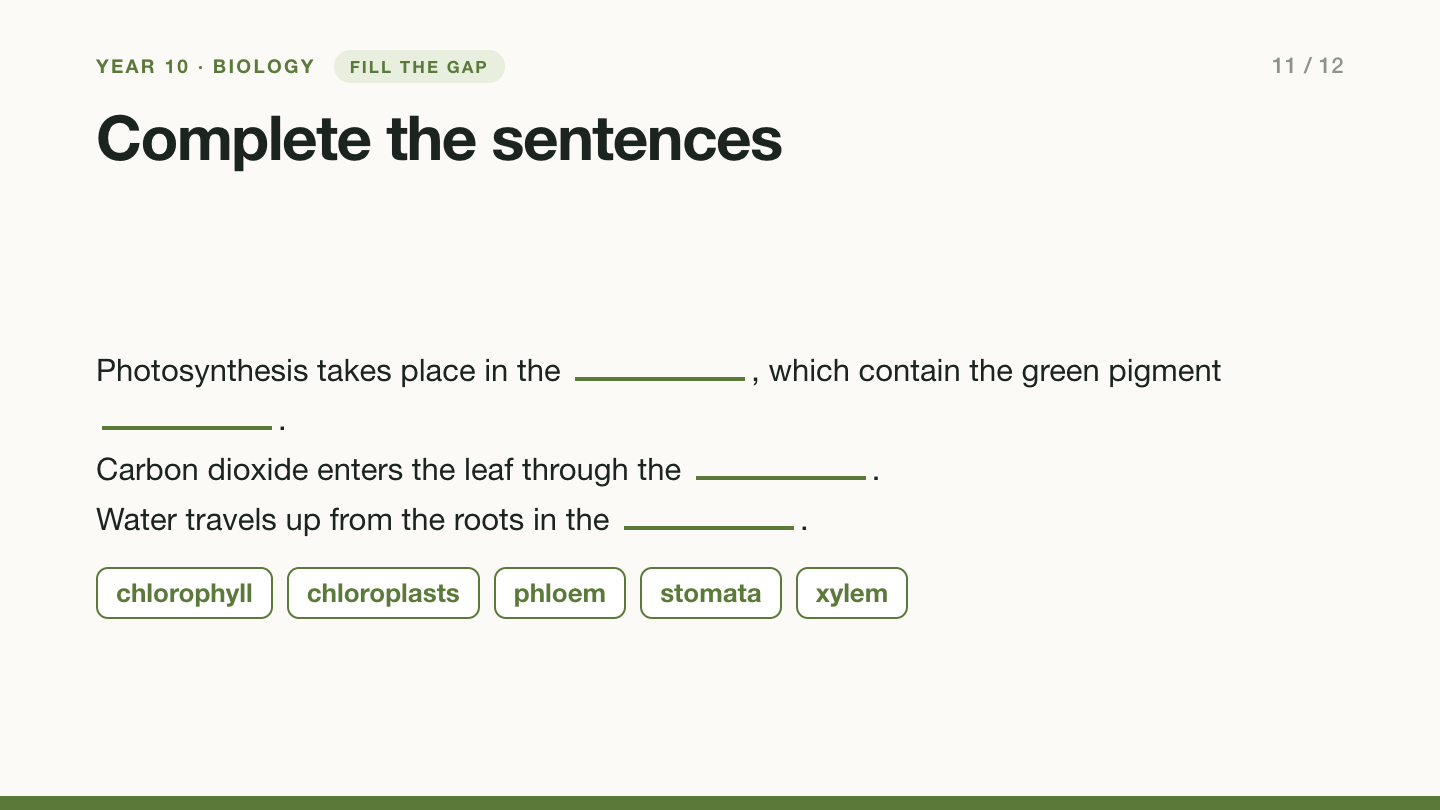 Slide 11, fill the gap: Complete the sentences. Photosynthesis takes place in the blank, which contain the green pigment blank. Carbon dioxide enters the leaf through the blank. Water travels up from the roots in the blank. Word bank: chlorophyll, chloroplasts, phloem, stomata, xylem.