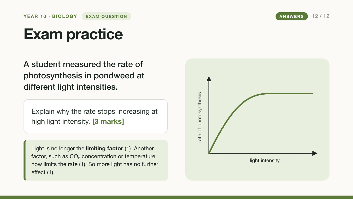 Slide 12 with mark points: light is no longer the limiting factor; another factor, such as carbon dioxide concentration or temperature, now limits the rate; so more light has no further effect. One mark each.